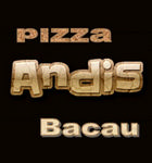 Andys Pizza Bacau